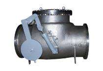 JAYANT VALVES Manual CS Check Valves 2 inch_0