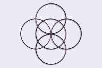 101.6 mm Graphite Filler 2 mm Spiral Wound Gaskets_0