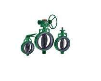 L&T 50 - 600 mm Manual CI Butterfly Valves Insertion between Flanges_0