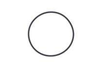 L&T 17.17 mm Viton - VG109-90 O Rings ORING-2-017-VGLT_0