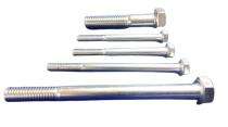 SAI M3 - M16 Stainless Steel Hexagon Head Bolts 300 mm ISO 9001:2015_0