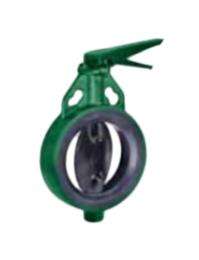 50 mm SS Butterfly Valves PN 10_0
