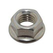 Carbon Steel Flange Nuts M10_0