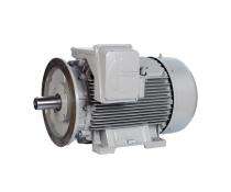 SIEMENS Single Phase 15 hp AC Motors_0