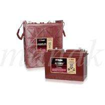 Trojan Flooded 6 - 12 V 85 - 435 Ah Lead Acid Batteries_0