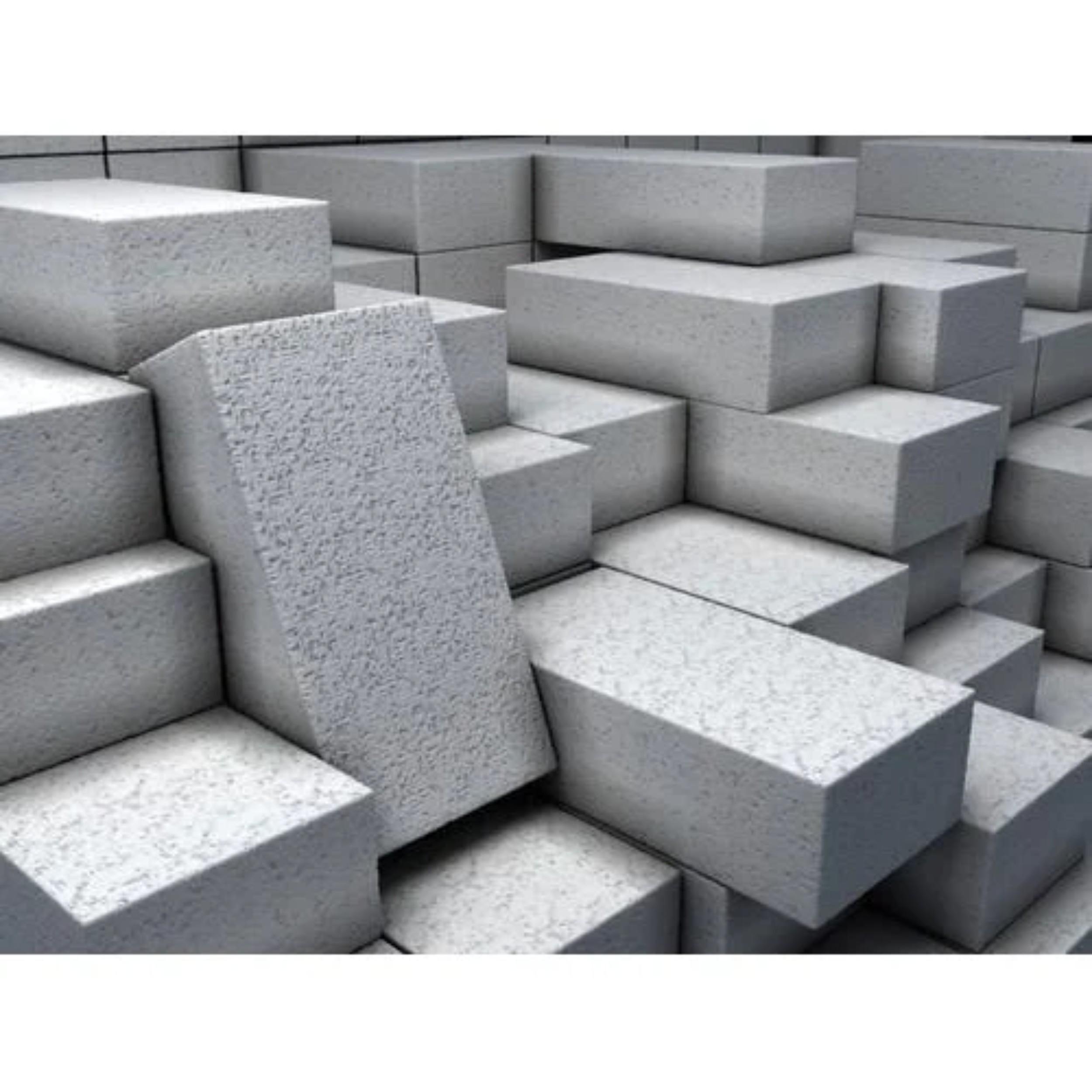 Fly Ash Bricks_0