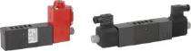 Rotex Swing Type CI Non Return Valves 50 mm BSPT_0