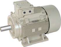 Lubi Three Phase 1 hp AC Motors_0
