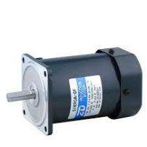 Single Phase 0.12 hp AC Motors_0