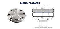 Bhavya Flanges Stainless Steel Blind Flanges 25 - 1500 mm Raised Faced_0