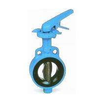 AGS 50 - 1600 mm Actuator CI Butterfly Valves Flanged PN 1.6_0