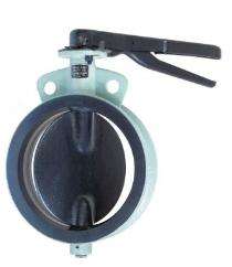 SG Iron Butterfly Valves 100 mm_0