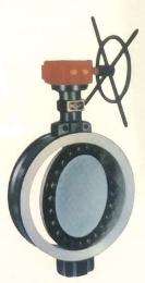 100 mm Gear Actuator CI Butterfly Valves Wafer_0