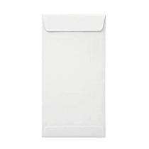 Plain Paper 70 gsm 11 x 5 inch Envelopes_0