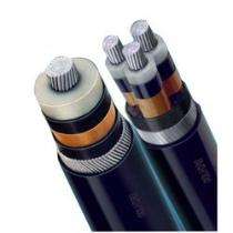 RAVIN 2 Core XLPE 2XWY Control Cables_0