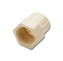 CPVC/PVC/UPVC Reducer FTAs 50 mm_0