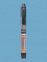 Delite 3 hp 3000 - 12000 l/h Submersible Pumps_0