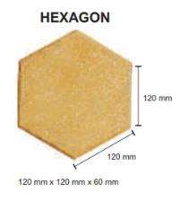 Terra Firma 60 mm Hexagonal Paver Blocks 120 x 120 mm_0