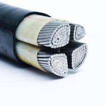 Bharat Cab 4 Core XLPE Low Tension Control Cables_0
