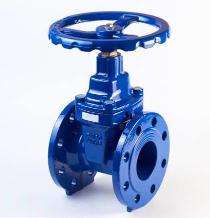 Sigma 1 - 12 inch Manual Low Carbon Steel Gate Valves Threaded_0