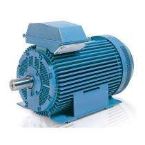 Crompton 3000 rpm Three Phase 536 hp Foot Mounted AC Motors_0