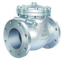 RSEMC DN 150 mm Manual Cast Steel Check Valves Double Socket_0
