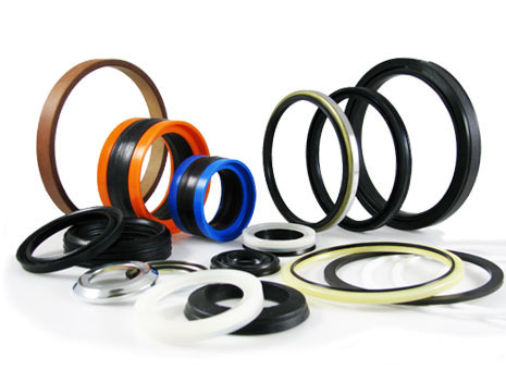 6 in Seal Kit_0