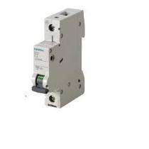 SIEMENS Double Pole 63 A C MCB_0