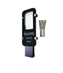 36 W White IP65 LED Glass Street Lights_0
