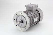 IMPEL 1.0hp 2p B5 2880 rpm Three Phase 1 hp Double Pole Foot Mounted AC Motors_0