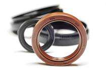 40 mm Rubber Oil Seals TCN AP 2379F 12 mm_0