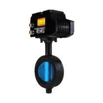 Lift Up CI Non Return Valves 100 mm Socket Weld_0
