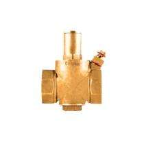 Manual CI Gate Valves 70 mm_0