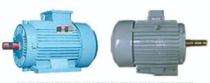 Two Phase 125 hp AC Motors_0
