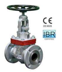 IPC CS Globe Valves 100 mm_0
