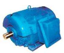 NEW INDIA Three Phase 0.5 hp AC Motors_0