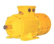 NEW INDIA Three Phase 0.5 hp AC Motors_0