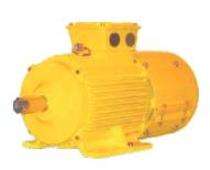 NEW INDIA Three Phase 0.5 hp AC Motors_0