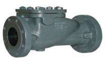 Prima Swinging & Lift Up CI Non Return Valves 100 mm Flange & Screwed End_0