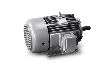 TECO 1440 rpm Three Phase 1 hp Four Pole Foot and Flange Mounted AC Motors_0