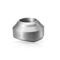 F - LOK Stainless Steel Weldolets DN 300 mm_0