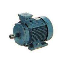 Crompton Single Phase 450 hp AC Motors_0