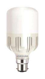 NORDUSK 30 W White B22 1 piece LED Bulbs_0
