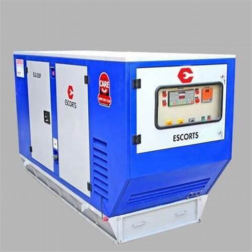 ESCORTS Commercial 12.5 kVA 50 - 100 L Diesel Generators_0