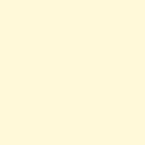 Asian Paints PPG Cream Vinyl Ester Primers 20 Ltr_0
