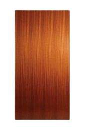 Borotik Doors Flush Wood_0