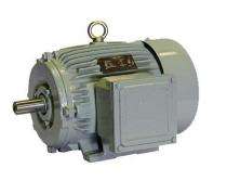 CG POWER Three Phase 300 hp AC Motors_0