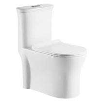 Hindware EWC with Seat Cover and Flush Agnese Italian Collection Floor_0