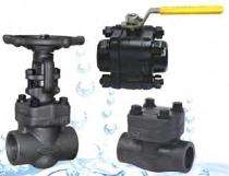 VALVETRON PN25 GM Globe Valves DN50 mm_0