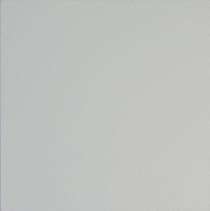 Asian Paints PPG Zinc Based Zinc Phosphate Primers Liquid Grey 20 L_0